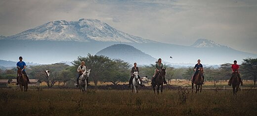 Giraffe Residence - Arusha