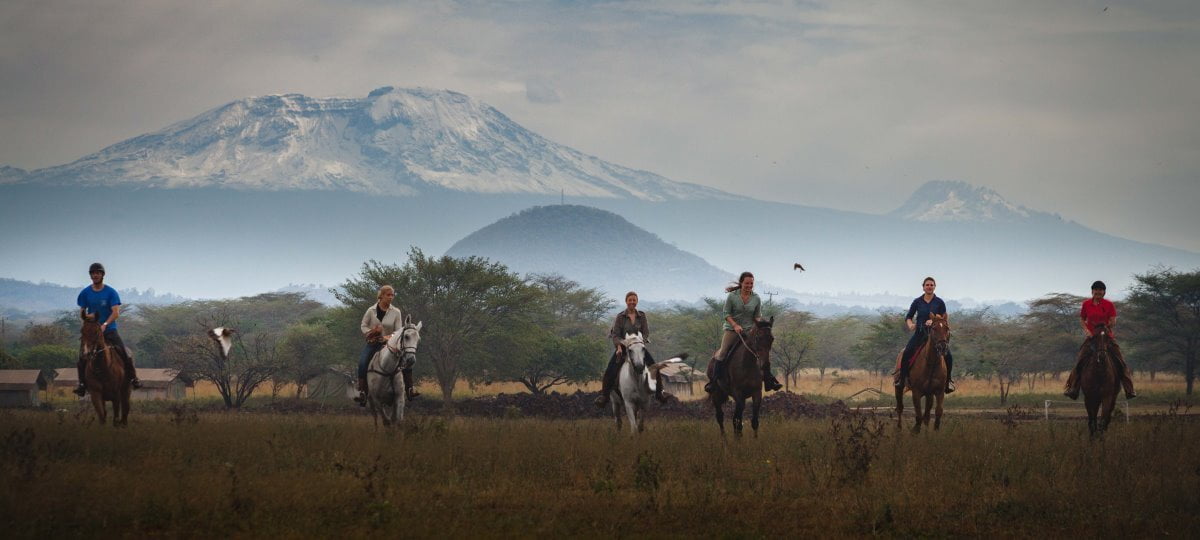 Giraffe Residence - Arusha