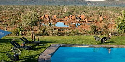 Madikwe Safari Lodge - Madikwe