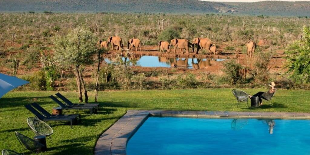 Madikwe Safari Lodge - Madikwe