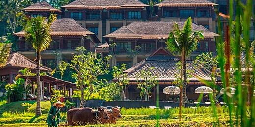 Mandapa - Ubud